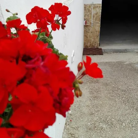 Casa Vacanza Ginevra Apartmán Otranto